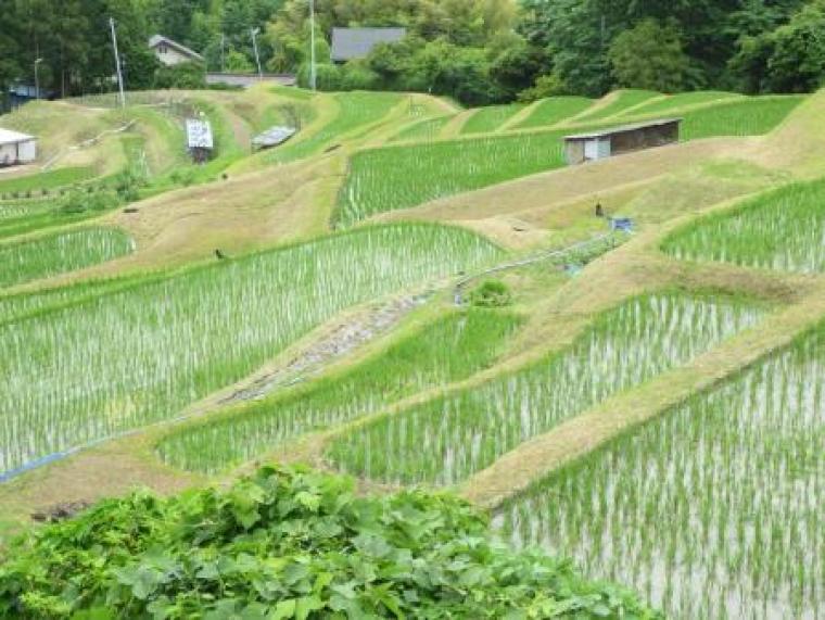 鎌倉道Ⅱ 日蓮も三浦一族も歩いた古の小径を往くの画像