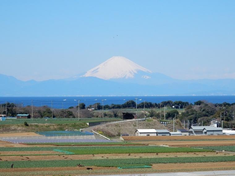 小網代の森を経て、後三浦終焉の地新井城跡への画像