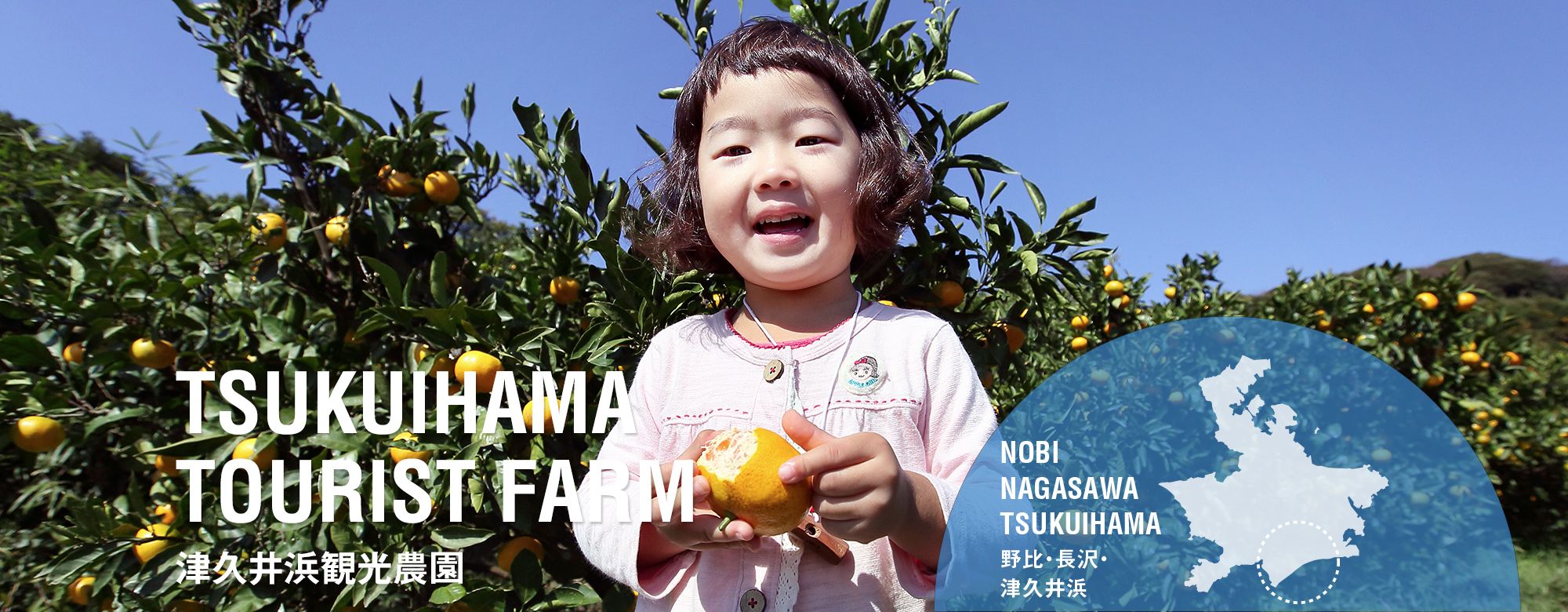津久井浜観光農園