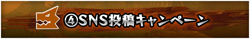 ④SNS投稿キャンペーン