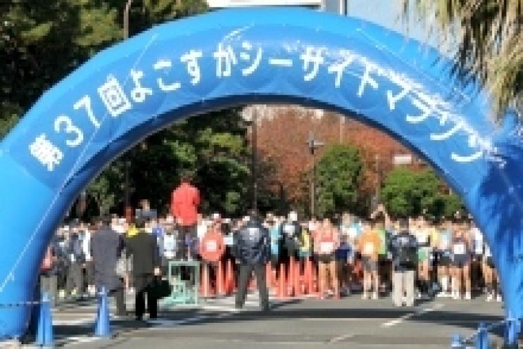 シーサイド 2019 横須賀 マラソン