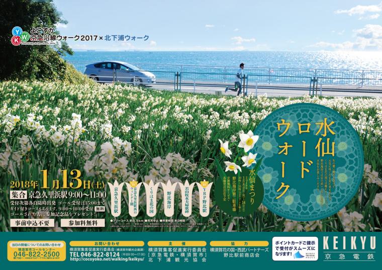 合同開催 よこすか京急沿線ウォーク×北下浦ウォーク「水仙ロードウォーク」の画像