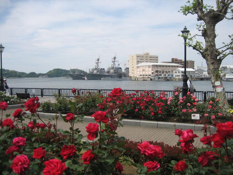 2000本バラと旧陸軍施設の画像