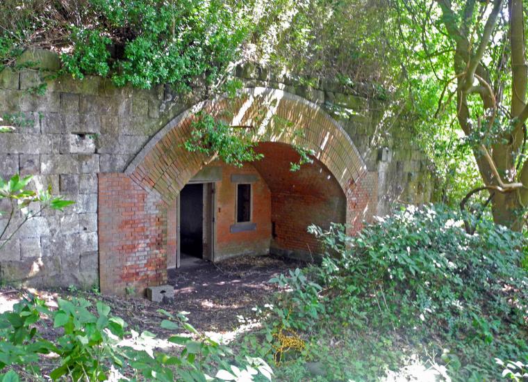 「夏島貝塚」と砲台跡見学会の画像