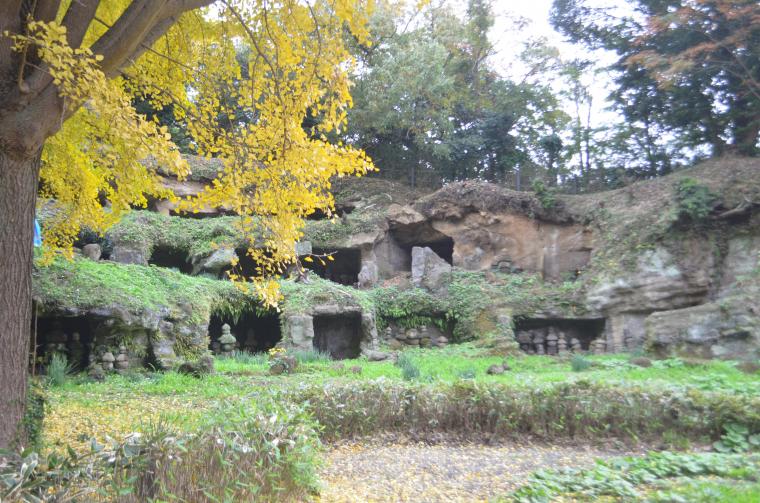 (中止)追浜~逗子山なみルートへの画像