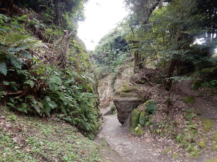 名越切通から鶴岡八幡宮への画像