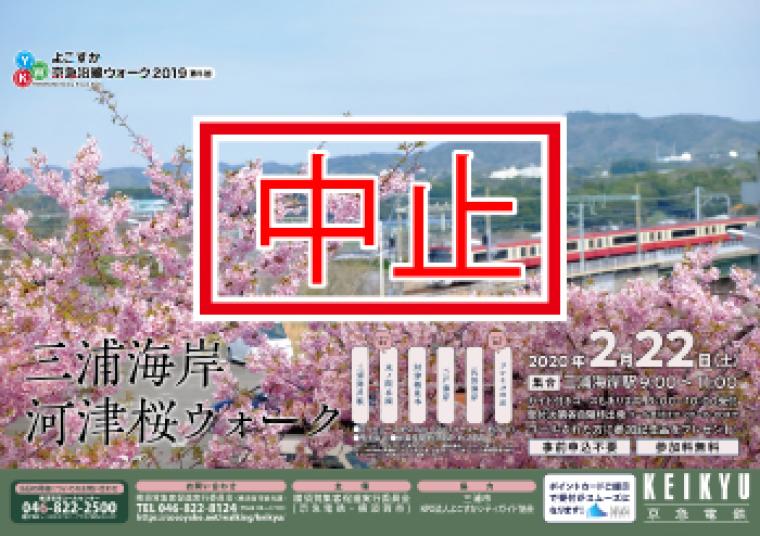 (中止)第5回よこすか京急沿線ウォーク「三浦海岸河津桜ウォーク」の画像