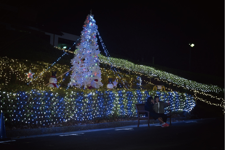 くりはま花の国ウィンターイルミネーション イベント 横須賀市観光情報サイト ここはヨコスカ くりはま花の国ウィンターイルミネーション イベント 横須賀市観光情報サイト ここはヨコスカ