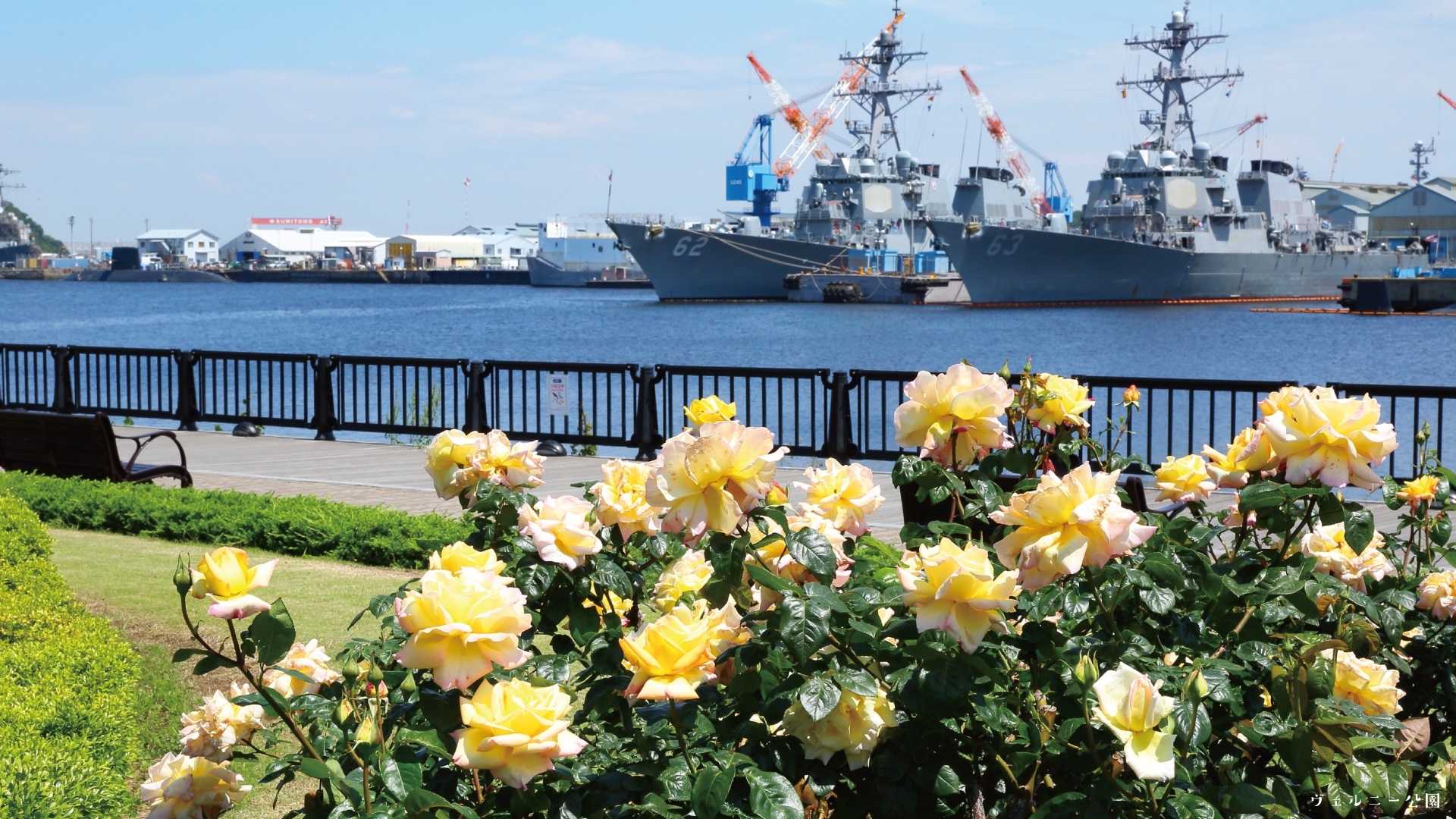 バーチャル背景画像配信 特集 横須賀市観光情報