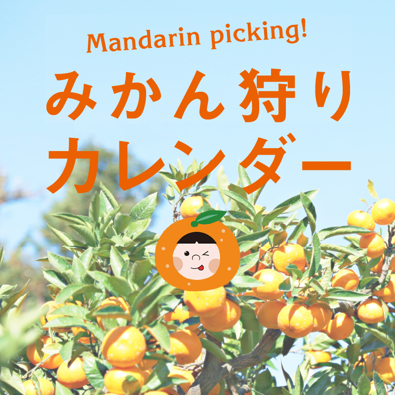 みかん狩り特集