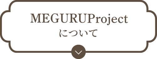 MEGURUProjectについて