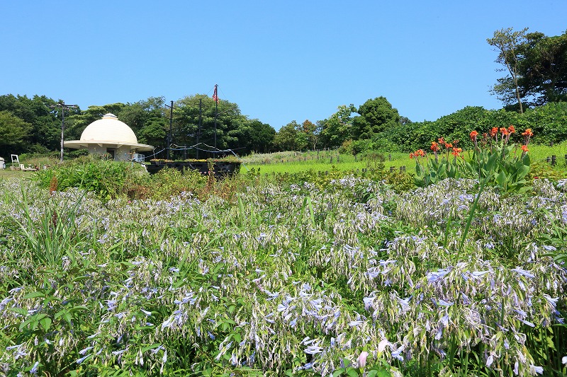 観音崎公園