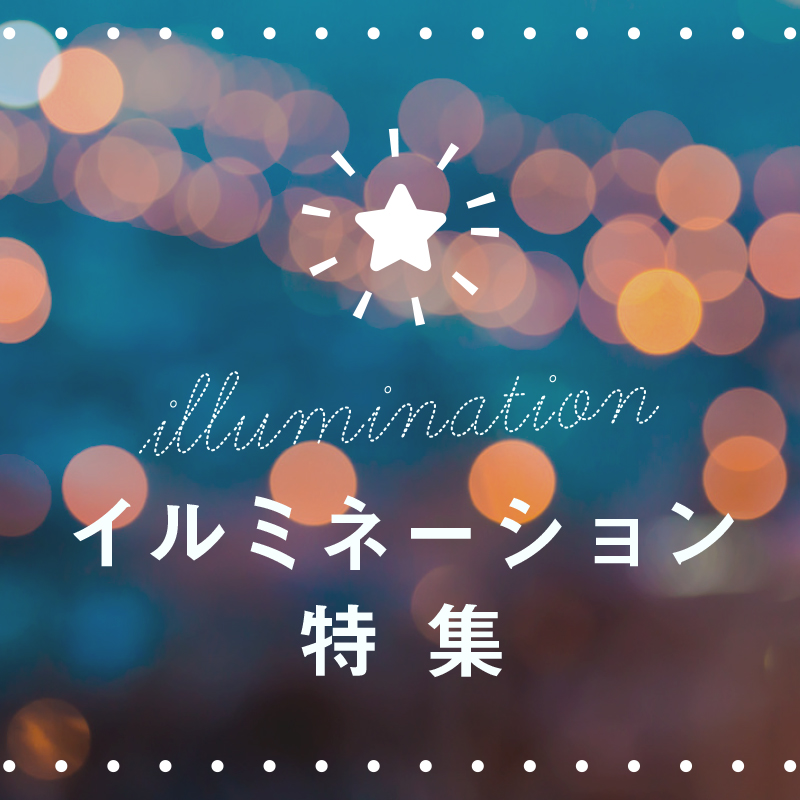 イルミネーション特集
