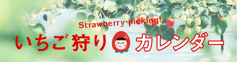 いちご狩り特集