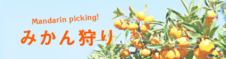 みかん狩り特集