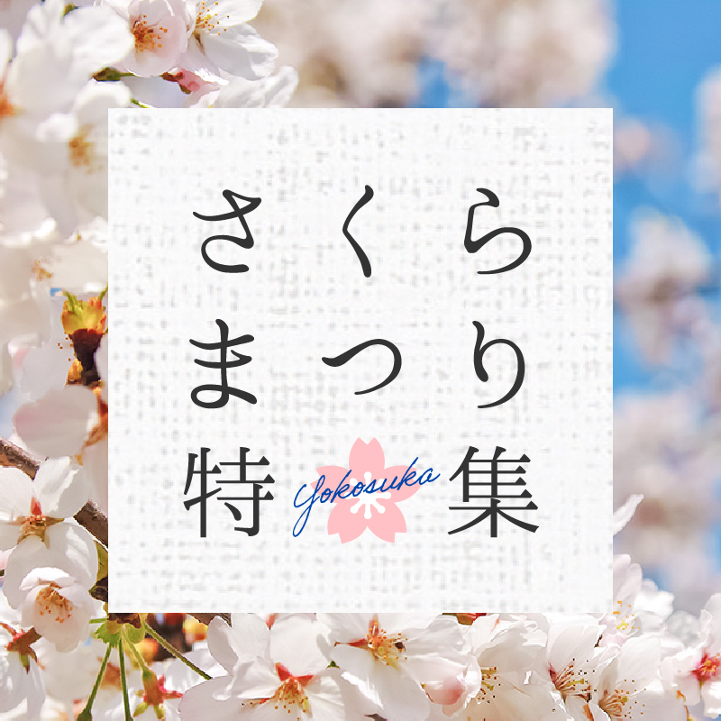 さくらまつり特集