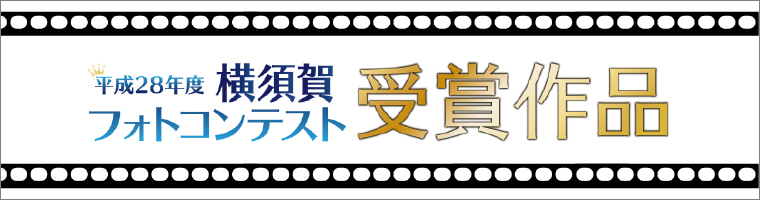 平成28年横須賀フォトコンテスト受賞作品