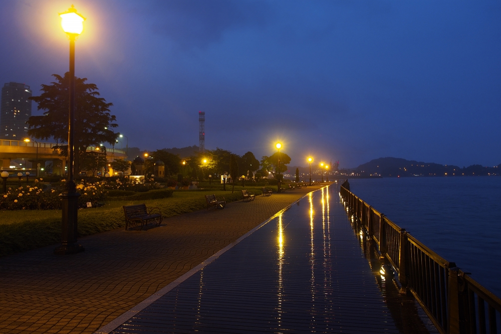 雨のヴェルニー公園