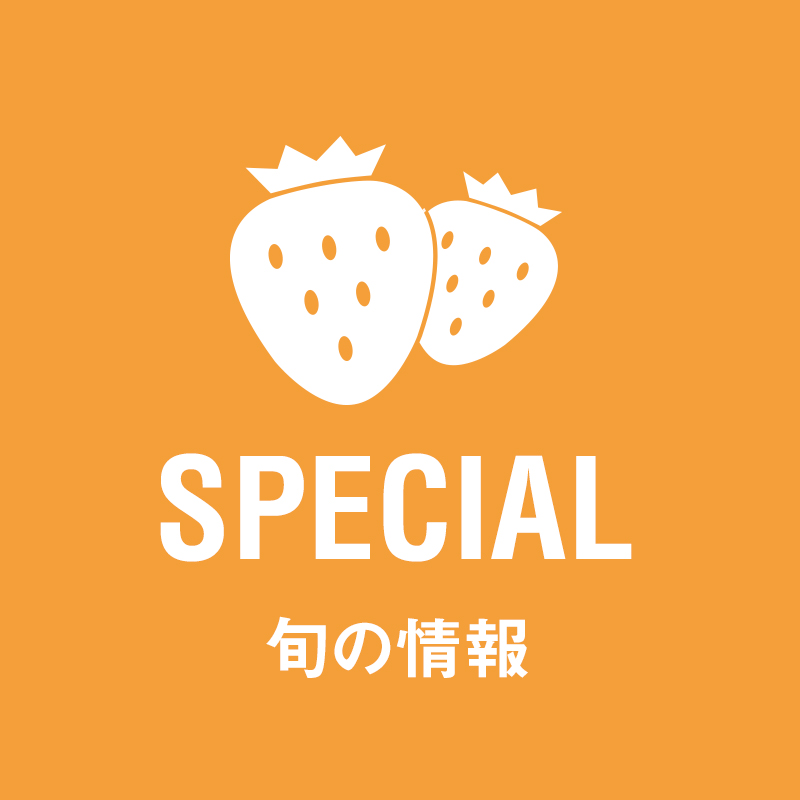 旬の特集