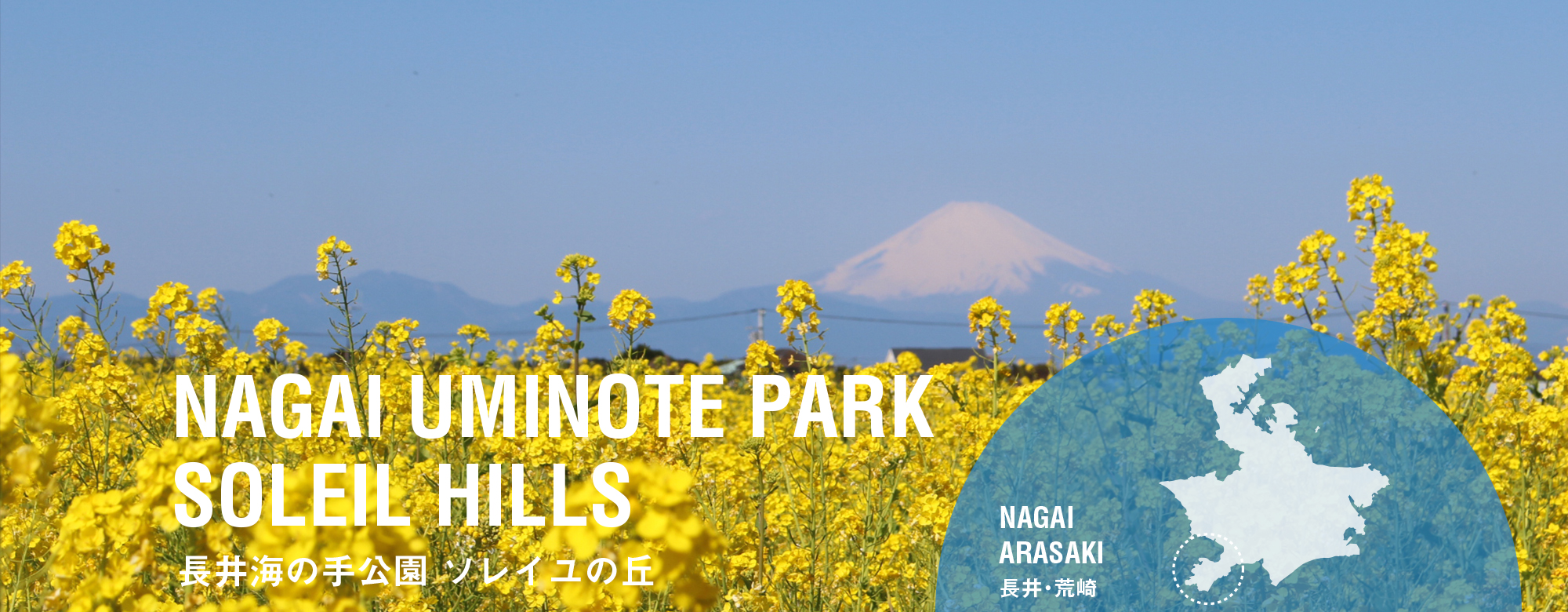 長井海の手公園　ソレイユの丘