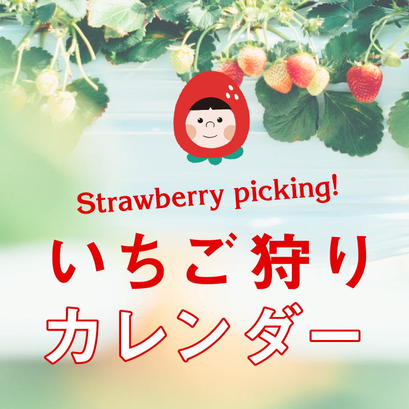 いちご狩り特集