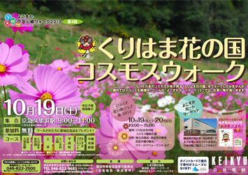 2013年度【第4回】くりはま花の国コスモスウォーク