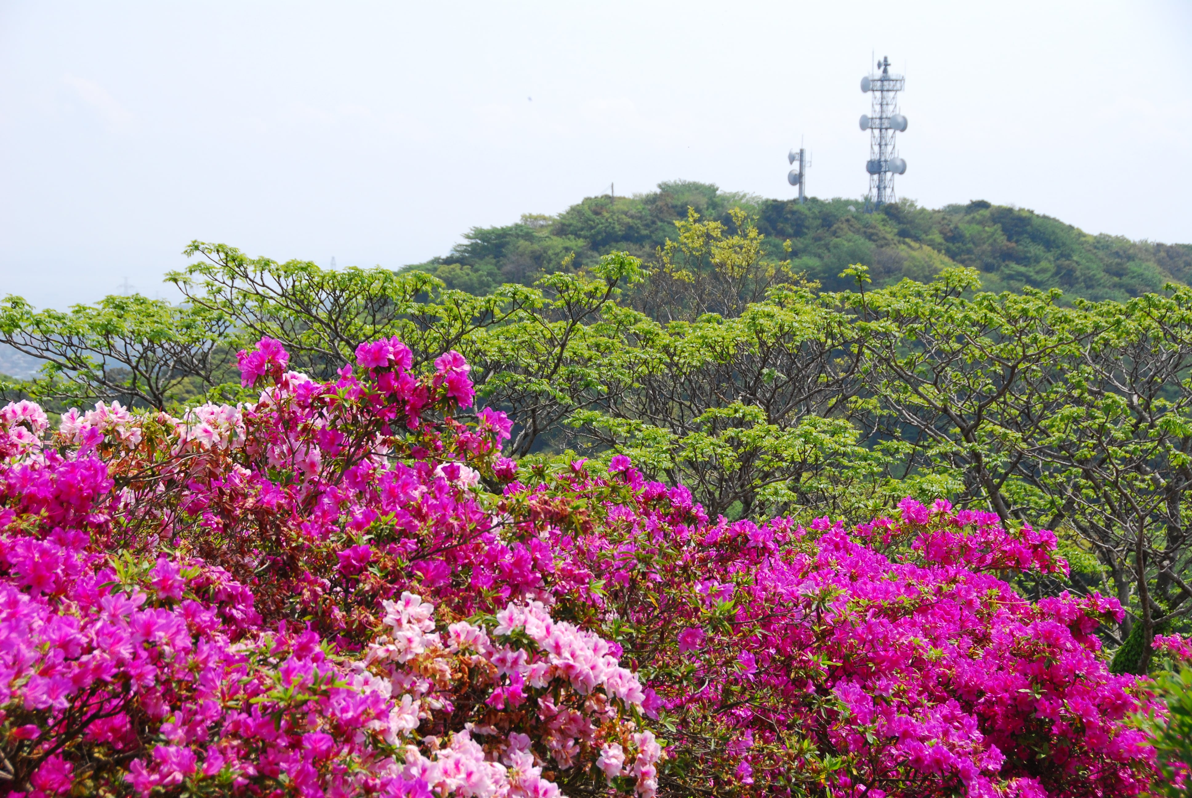 天神島