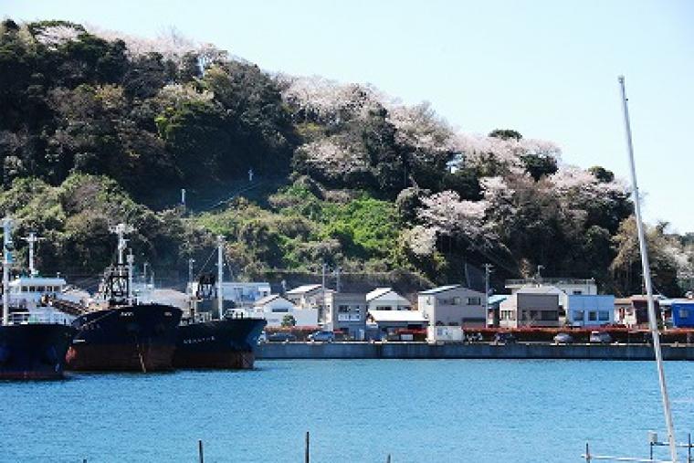 愛宕山公園の画像