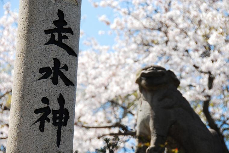 走水神社の画像