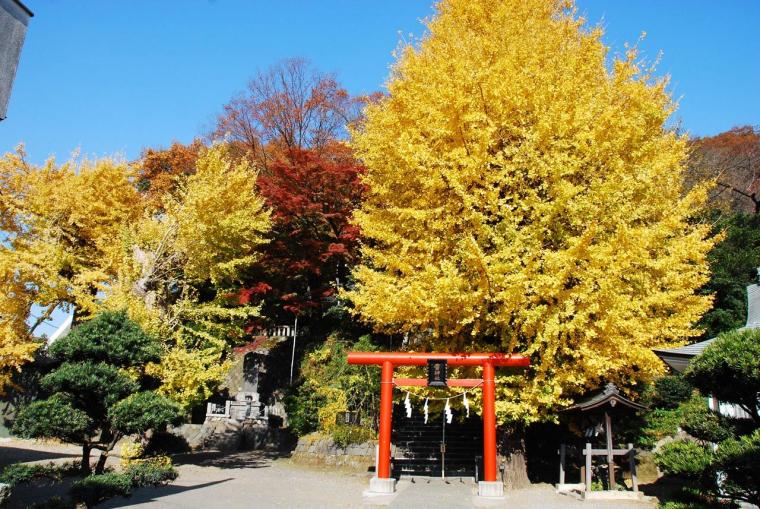 雷神社の画像