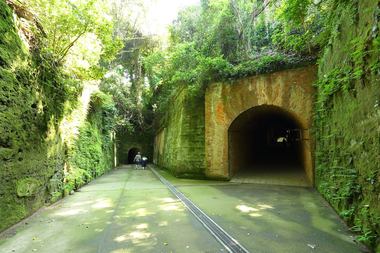 猿島公園 横須賀市観光情報