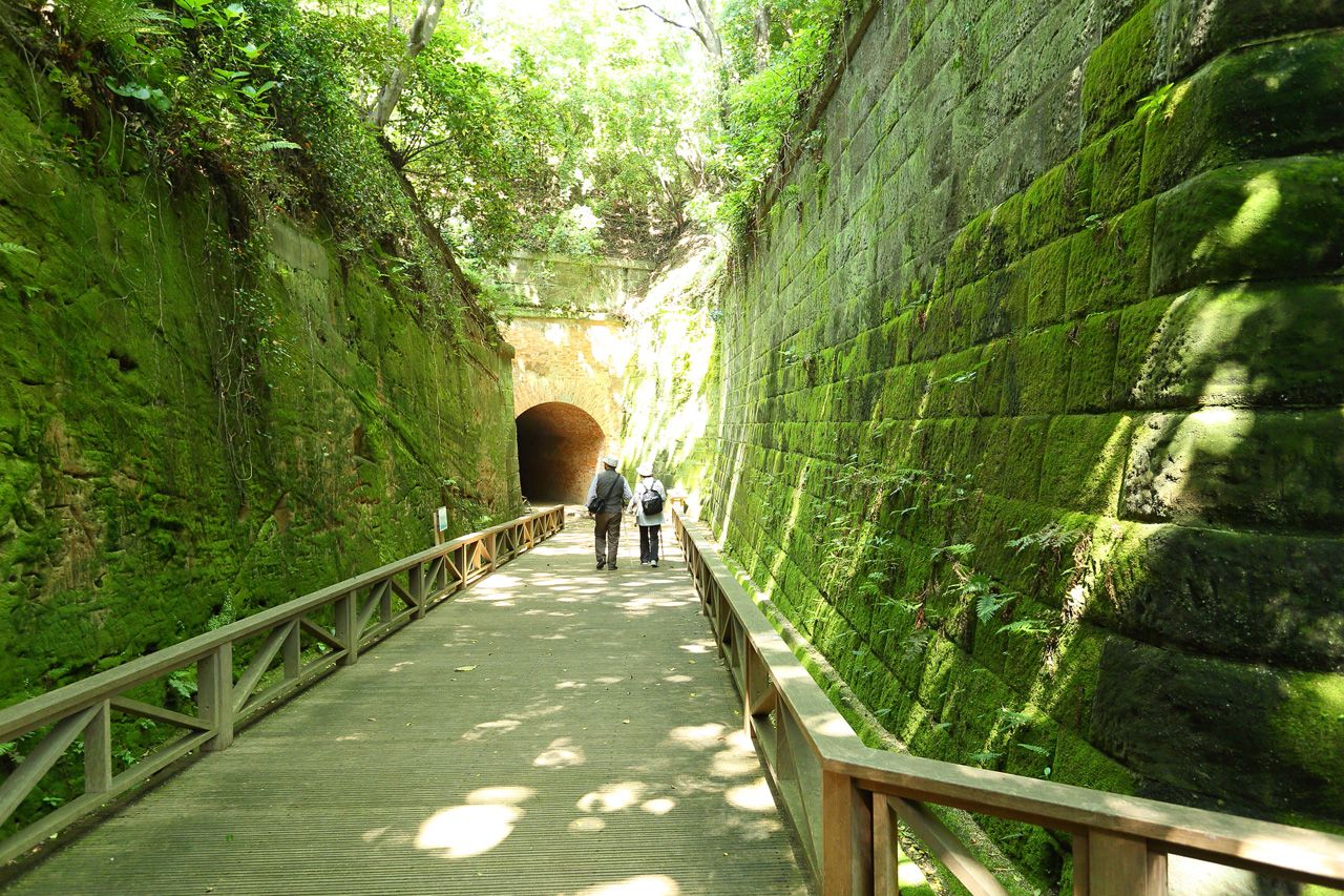 猿島公園 横須賀市観光情報